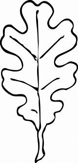 White Oak Leaf Outline  coloring Page Fall leaves Pages sketch template