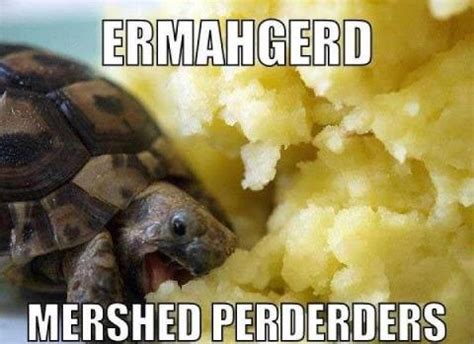 ERMAHGERD