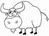 Yak Coloring Pages Printable For Free Download sketch template