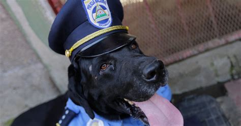 This Delightful Hero Dog Can Perform CPR on a Police Officer | TIME