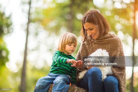 Moments To Remember High-Res Stock Photo - Getty Images