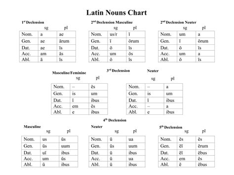 Nouns Chart | Latin Dictionary/Notes