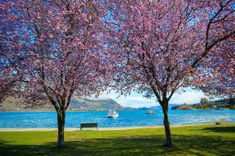 Things to do in Wanaka, New Zealand - The Moorings