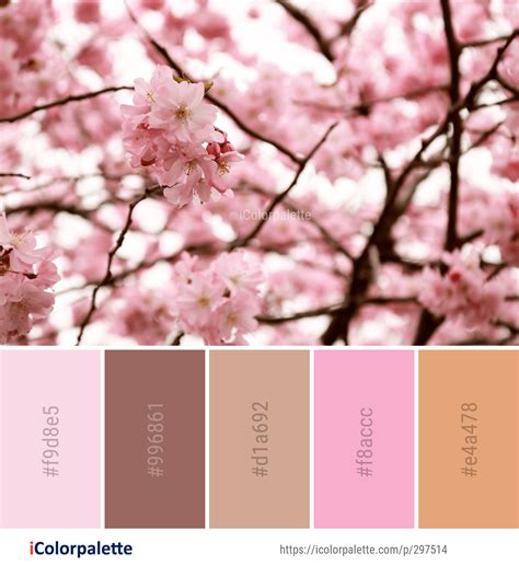 Color Palette ideas from 1803 Blossom Images | iColorpalette | Color ...