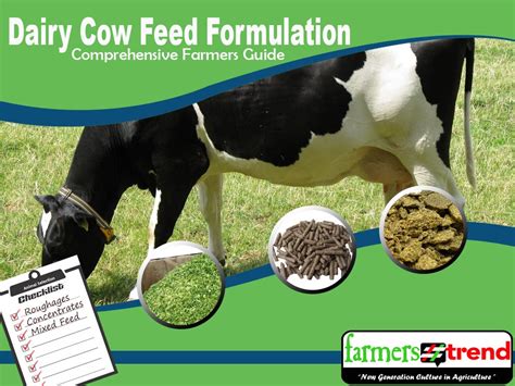 Dairy Cow Feed Formulation; A Comprehensive Farmers Guide | by FarmersTrend | Medium