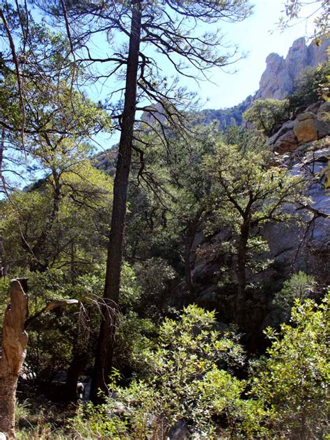 Tucson's Ventana Canyon Hiking Trail: Soaring Window Views