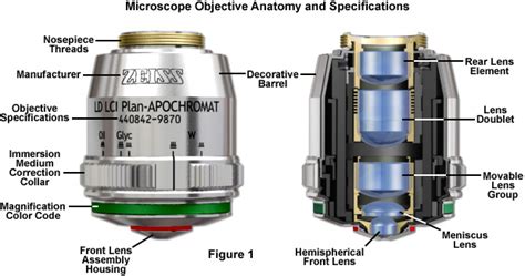 ZEISS Microscopy Online Campus | Microscopy Basics | Objectives