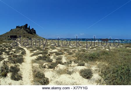 Selvagem Pequena island, Selvagens Islands (Savage Islands), Portugal Stock Photo: 60701777 - Alamy