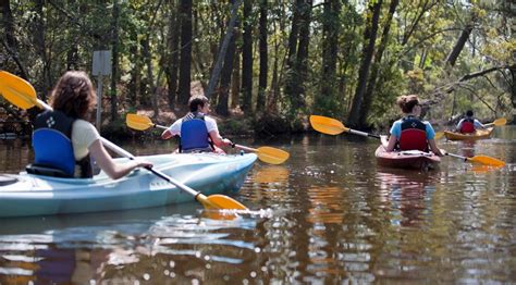 Kayaking on the Outer Banks | Kitty Hawk Surf Co.