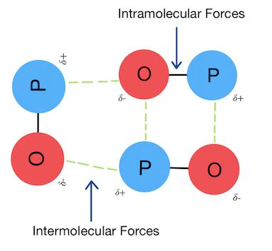 Van der Waals Forces — Definition & Overview - Expii