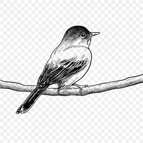 60+ Best Bird Drawing Idea Tutorials - How To Draw Bird? | HARUNMUDAK