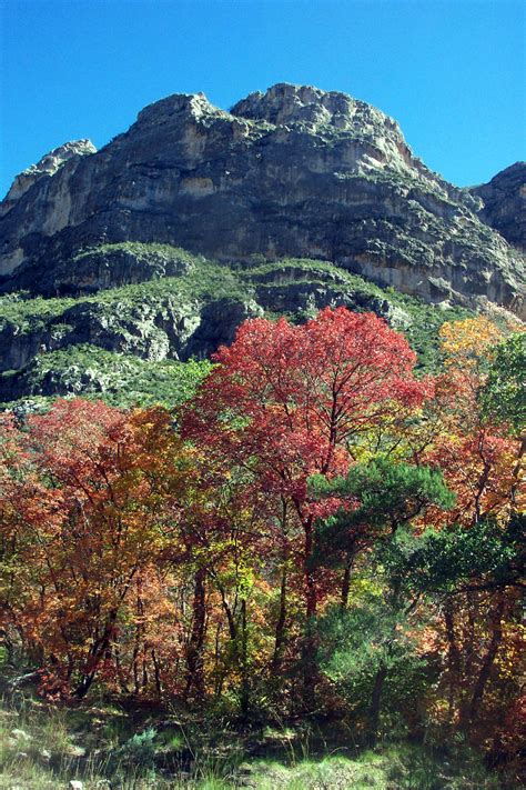 Fall Colors and Hills at Guadalupe Mountains National Park image - Free ...