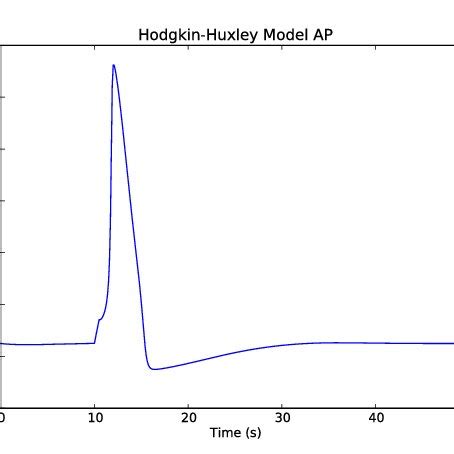 Action potential of Squid Giant-Axon from Hodgkin-Huxley Model [9]. | Download Scientific Diagram