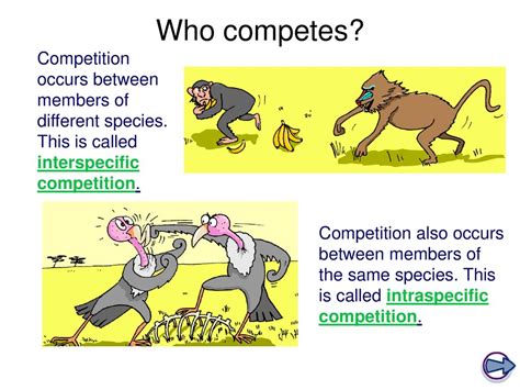 Interspecific Competition Definition