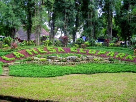 7 Shaded Parks in Metro Manila for the Perfect Summer Picnic