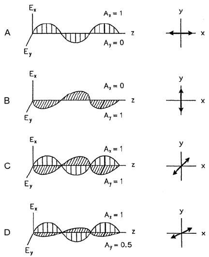 2. Representation of linear polarization with different polarization ...