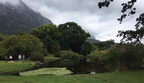 Explorer's Guide to Kirstenbosch Botanical Garden, a national treasure