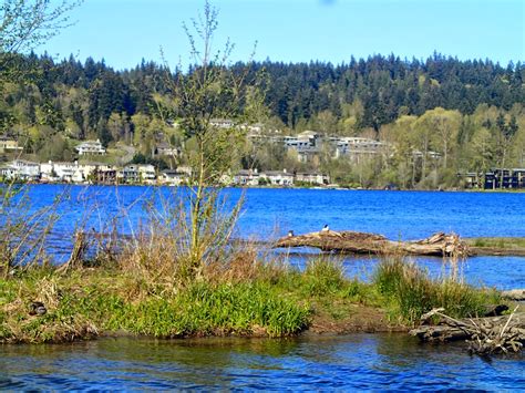 Kent's Bike Blog: #30DaysofScootering - Day 16 - Lake Sammamish State Park