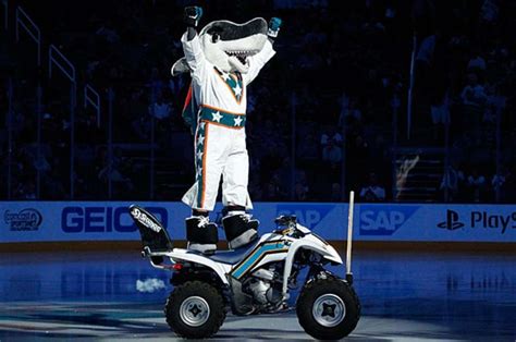 Top 10: NHL mascots - The Hockey News