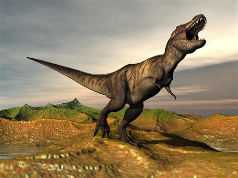 Tyrannosaurus Rex Dinosaur - 3d Render Digital Art by Elena Duvernay