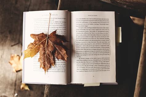 HD wallpaper: read, nature, literature, leaf, autumn, fall, knowledge ...