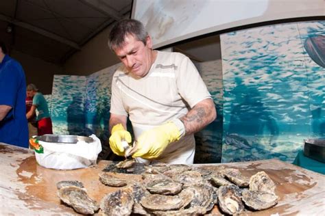 The Bluff Oyster and Food Festival – Bluff