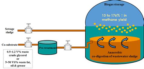 Processes | Free Full-Text | Anaerobic Co-Digestion of Wastewater Sludge: A Review of Potential ...