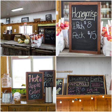 Michigan apple orchards | A Zesty Bite