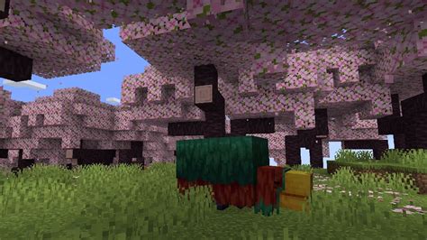 Minecraft Reveals Cherry Blossoms Biome & Wood Set Just in Time for Valentine's Day | TechRaptor