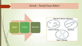 Bakteri | PPT | Free Download