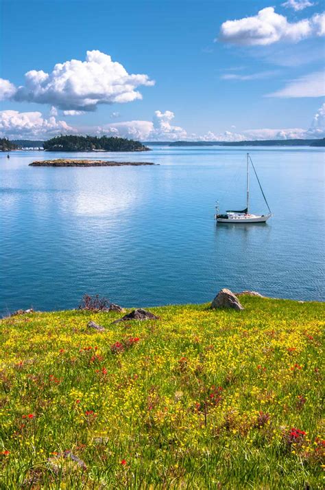 Paddling in Paradise: Protected Places on the Salish Sea – AdventuresNW