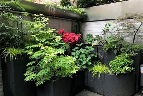 Container & Planter Gardens | Philadelphia | City Garden Guru