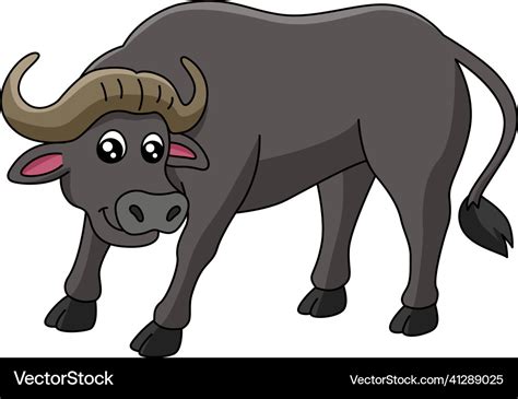 Buffalo cartoon clipart Royalty Free Vector Image