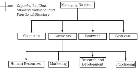 Divisional Structure: Definition in terms of Business Management - QS Study