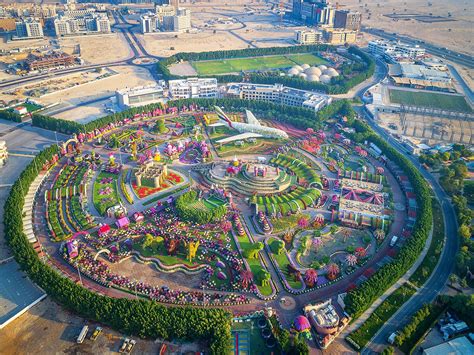 All details about Dubai Miracle Garden 2020-2021 season opening