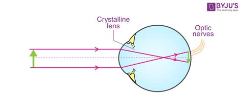 Refraction of Light - Spherical Lenses and Spherical Mirrors