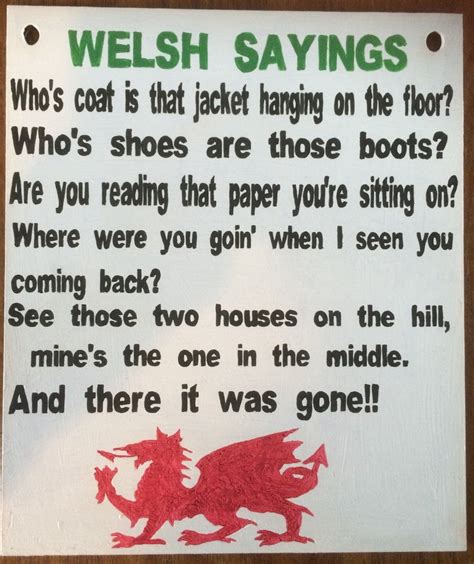 Funny Welsh Sayings Wooden Hand Painted Plaque - Etsy UK