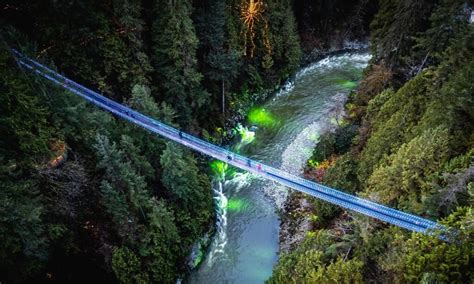 Canyon Lights returns to Capilano Suspension Bridge this holiday season | Listed