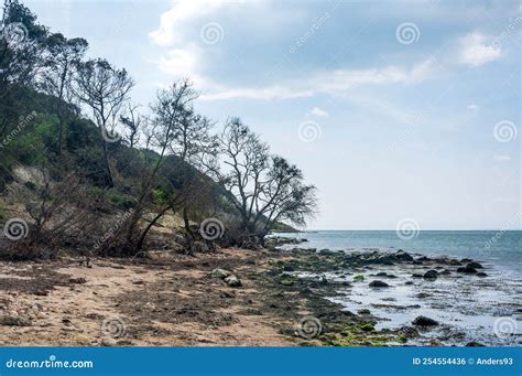 Beach Erosion Near Fort Victoria, Isle of Wight Stock Photo - Image of ...