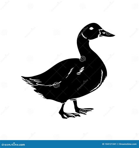 Duck Silhouette Vector stock vector. Illustration of silhouette - 104121341