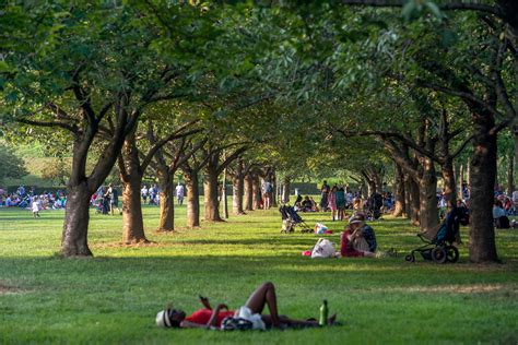 Brooklyn Botanic Garden | Brooklyn, NY 11225 | New York Path Through History