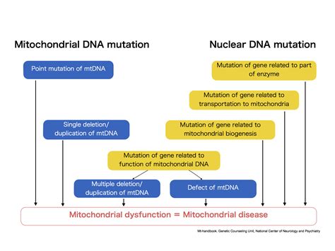 Mitochondrial Disease ~ news word