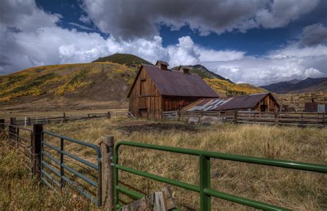 Transform Your Home with Autumn Harvest Wallpaper | Happywall