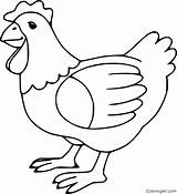 Chicken Coloring Pages 26 Free Printables  ColoringAll sketch template