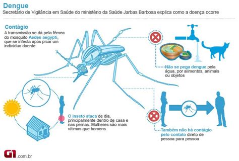 G1 - Boato de dengue mutante causa pânico com vídeo em redes sociais - notícias em São Paulo