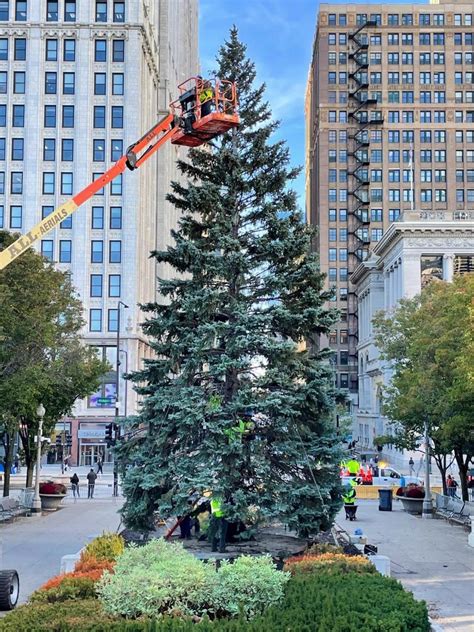 BrightView Delivers Annual Christmas Tree in Chicago