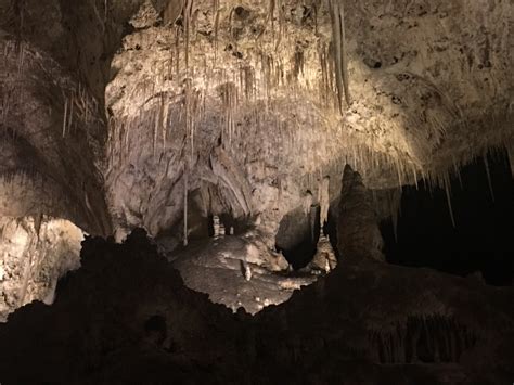 Carlsbad Caverns bats/caves 💪🏽😎 | Scrolller