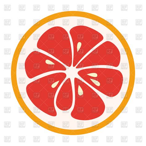 Grapefruit Vector at Vectorified.com | Collection of Grapefruit Vector free for personal use