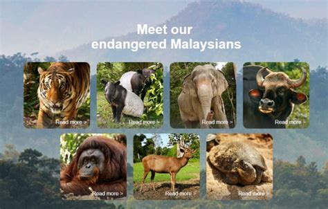 Maxis wants you to support our endangered Malaysians this Merdeka - SoyaCincau