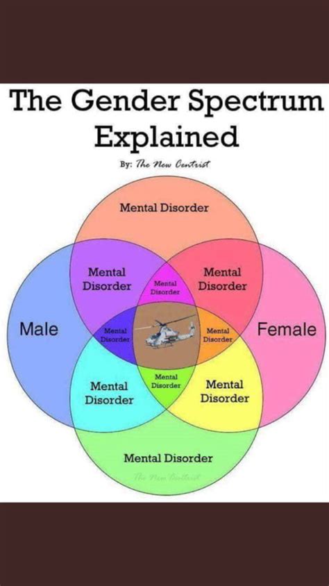 The Gender Spectrum Explained - 9GAG